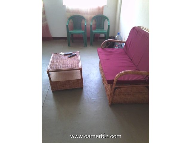 AppARTEMENT MEUBLE A LOUER A OLEMBE/YAOUNDE - 18012