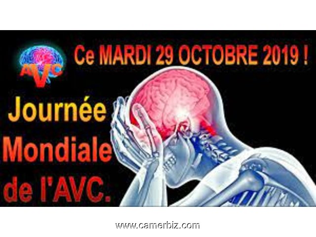 L' AVC :  CAUSES  ET  SOLUTIONS  = LA VITAMINE  CHARDON-MARIE 7.000F   - 18014