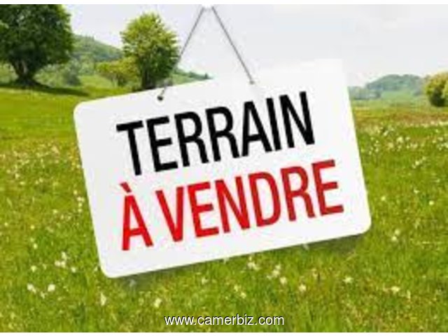  TERRAIN TITRE ET LOTI A VENDRE VERS L OAPI CENTRE VILLE DE Yde - 18151