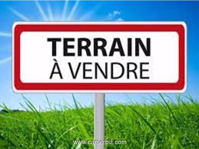  TERRAIN TITRE ET LOTI A VENDRE A NYOMO PAR AFANAYOA TERRAIN TITRE ET LOTI A VENDRE A NYOMO AFANAYOA - 18153