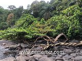 Seaside lands for sale in Limbe, Cameroon  - 18484