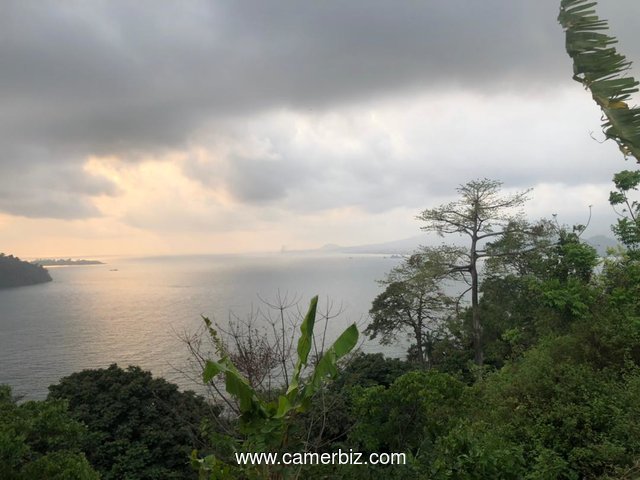 Seaside lands for sale in Limbe, Cameroon  - 18484