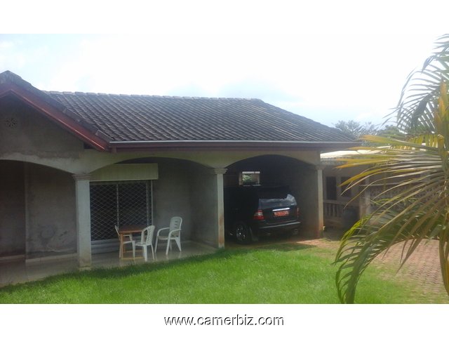 Terrain+maison à vendre avec Titre foncier - 1883