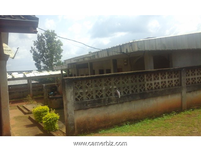 Terrain+maison à vendre avec Titre foncier - 1883