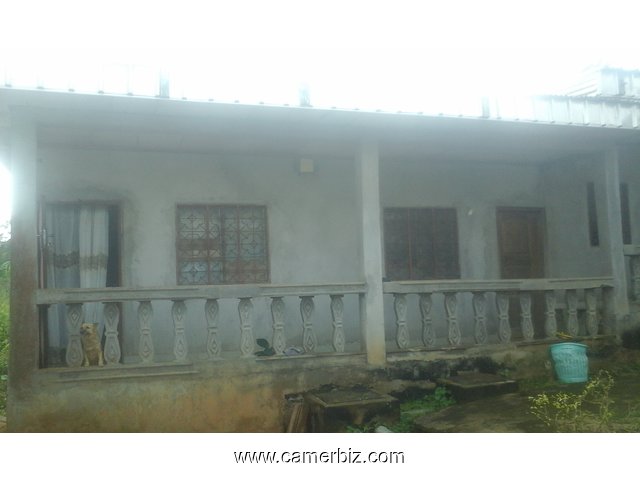 Terrain+maison à vendre avec Titre foncier - 1883