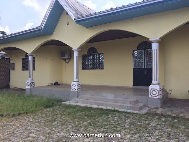 VILLA A LOUER A DOUALA AU QUARTIER LOGBESSOU LIEU-DIT COLLEGE SOLEIL  - 1896