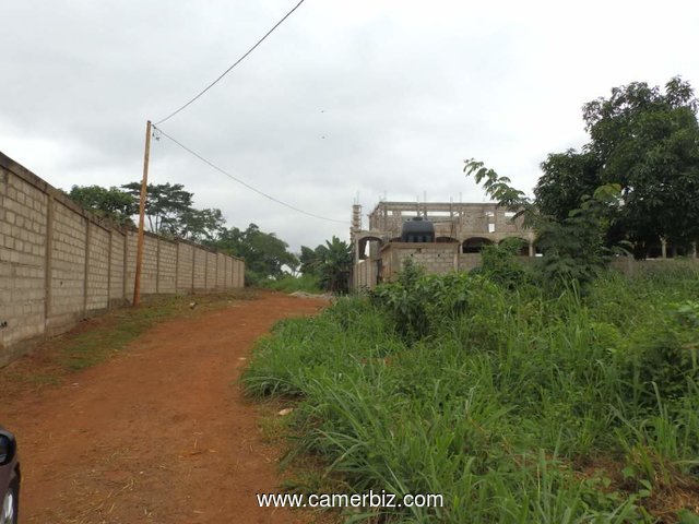 Terrain en vente a titi garage / Yaoundé, entrée clinique SENDE  - 1920