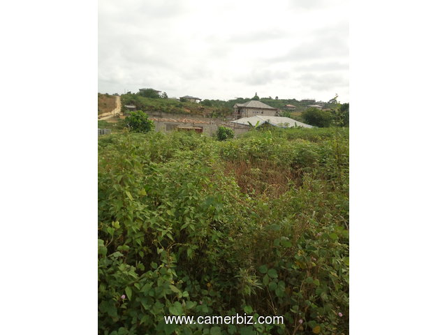 400metre Carree a yassa japoma Apres le stade a 25000fca - 1974