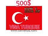 VISA BUSINESS TURQUIE - 19991