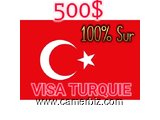VISA BUSINESS TURQUIE - 19991