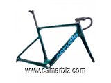 2022 Cervelo Caledonia 5 Disc Frameset (BIKOTIQUE) - 20009