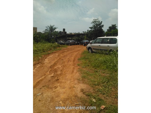 terrain titré de 3059 m² à ahala (Yaoundé) - 2018