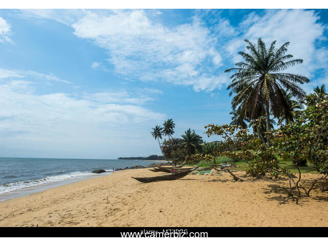 Terrains titre a kribi - 20521