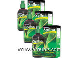 L'Equilibrant; SPLINA Liquide Chlorophyll - 2057