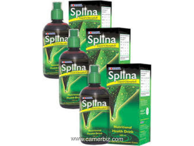 L'Equilibrant; SPLINA Liquide Chlorophyll - 2057