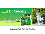 L'Equilibrant; SPLINA Liquide Chlorophyll - 2057