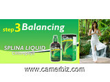 L'Equilibrant; SPLINA Liquide Chlorophyll - 2057