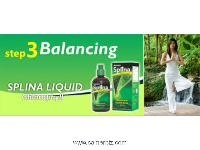 L'Equilibrant; SPLINA Liquide Chlorophyll - 2057