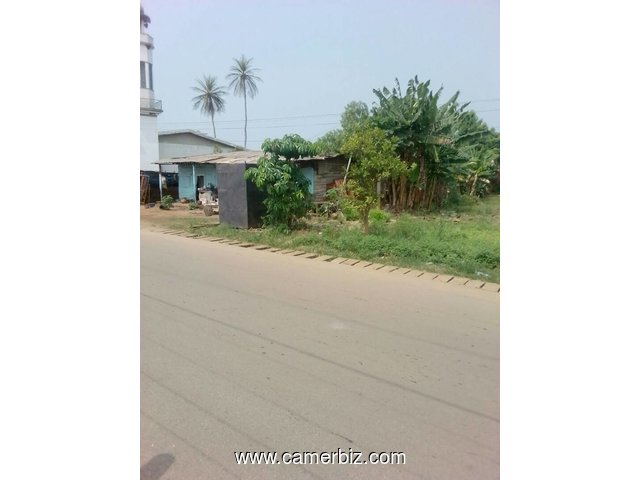 1300 M² TERRAIN TITRE EN BORDURE DE ROUTE A VENDRE KRIBI AU QUARTIER BELLO LIEU-DIT MOSQUEE - 2062