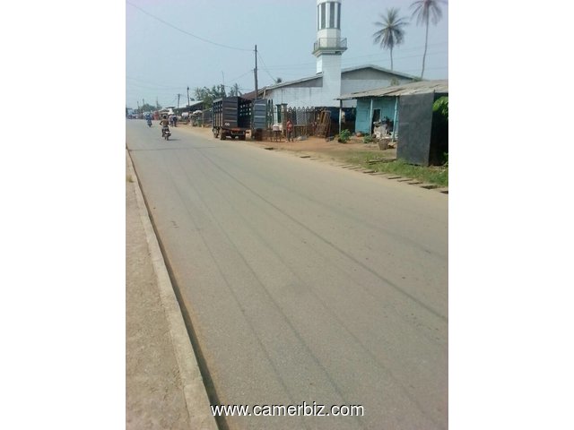 1300 M² TERRAIN TITRE EN BORDURE DE ROUTE A VENDRE KRIBI AU QUARTIER BELLO LIEU-DIT MOSQUEE - 2062