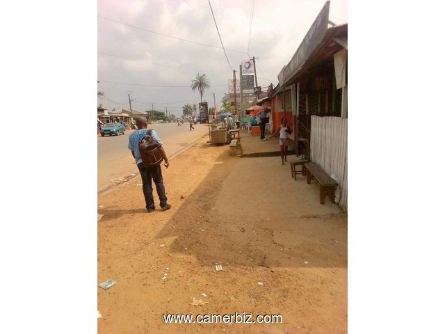 1000 M² TERRAIN TITRE BATI EN BORDURE DE ROUTE A VENDRE KRIBI MOKOLO - 2064