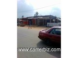 1000 M² TERRAIN TITRE BATI EN BORDURE DE ROUTE A VENDRE KRIBI MOKOLO - 2064