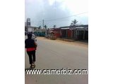 1000 M² TERRAIN TITRE BATI EN BORDURE DE ROUTE A VENDRE KRIBI MOKOLO - 2064