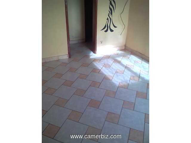 GESTION D'IMMEUBLES D'HABITATIONS - 2068