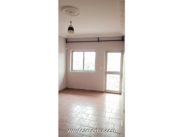 Appartement de 02 chambres à louer à Nsimeyong - 20734