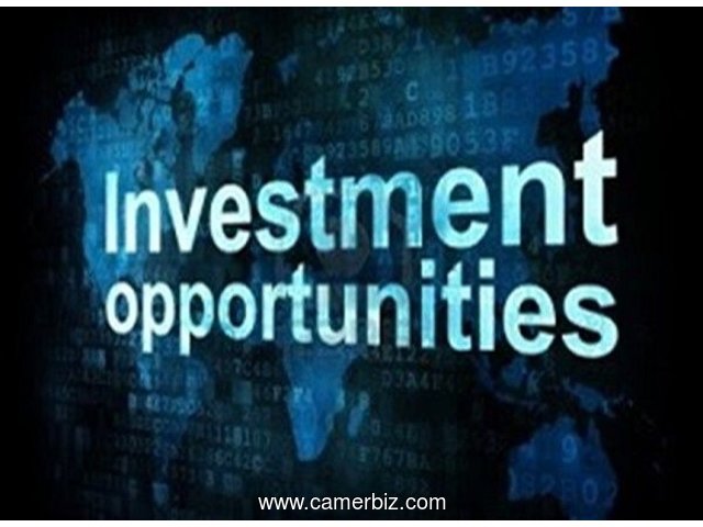  Project Investments And Business Loans Available - 20860