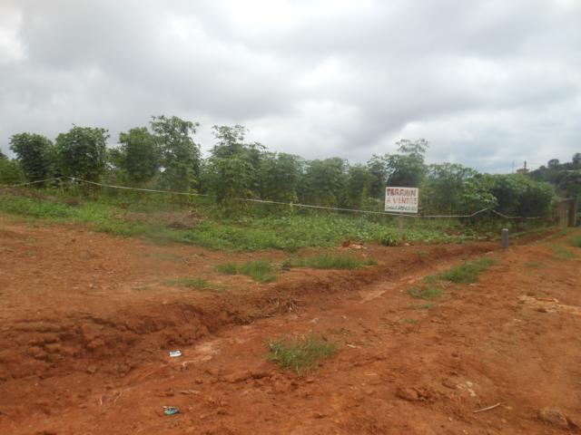 Terrain à vendre à Yaoundé Ngousso - 215