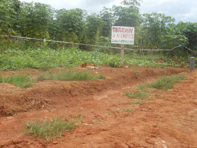 Terrain à vendre à Yaoundé Ngousso - 215