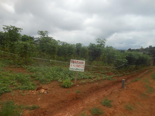 Terrain à vendre à Yaoundé Ngousso - 215