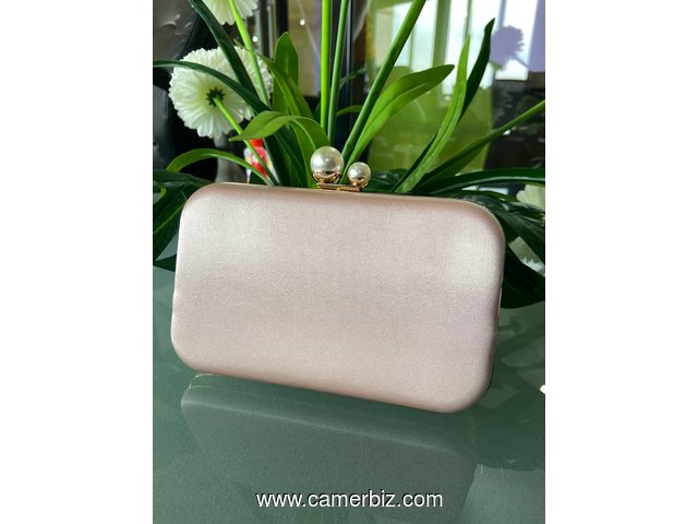 Pochette de soirée Forever New - 22554