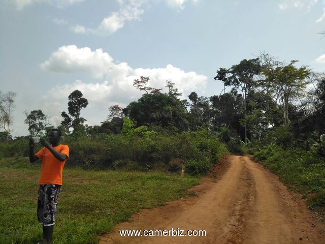 sassayé terrain titré - 2355