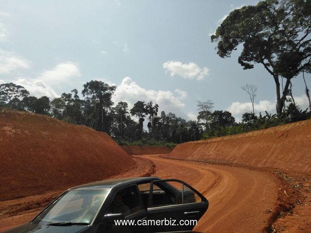 sassayé terrain titré - 2355