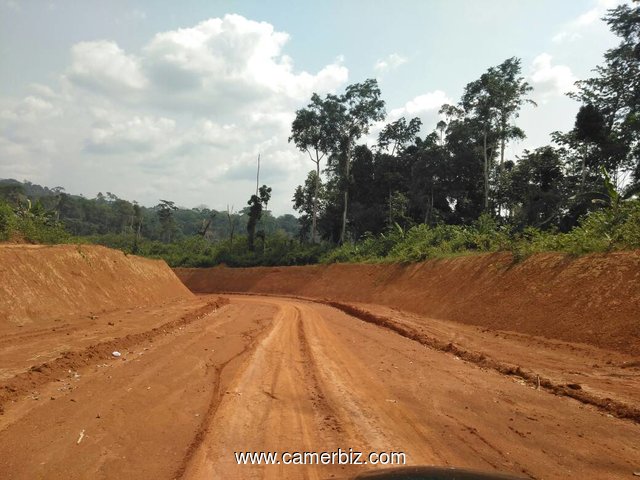 sassayé terrain titré - 2355