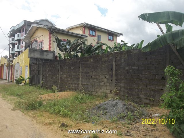 Terrain titré de 500 m² à vendre à Yassa - 23743