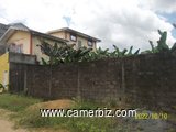 Terrain titré de 500 m² à vendre à Yassa - 23743