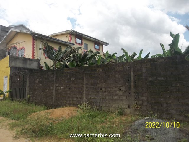 Terrain titré de 500 m² à vendre à Yassa - 23743