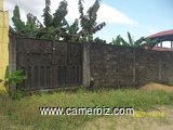 Terrain titré de 500 m² à vendre à Yassa - 23743