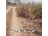 Terrain Titré  et Lotis à Yaoundé (Mehandan par Odza). - 23808