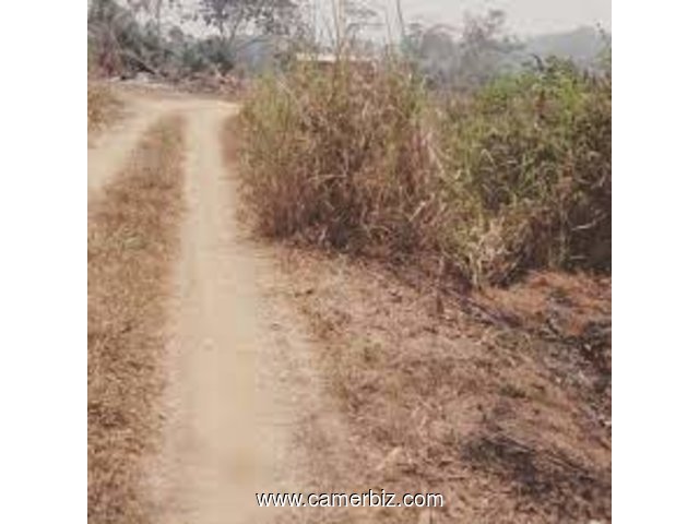 Terrain Titré  et Lotis à Yaoundé (Mehandan par Odza). - 23808