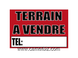 Terrain Titre Et En Cours De Lotissement À Vendre Vers L'autoroute Yaounde- douala  - 24384