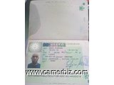 Visa  visiteur ET  travail  