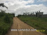 Terrain titré à vendre côté stade  Japoma - 24423