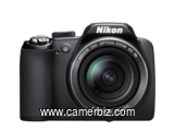  Nikon Coolpix P90 - 2448