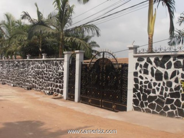 Villa de 05 chambres ayant un sous-sol à louer à omnisport, Yaoundé 1.200.000 F CFA le mois - 2454