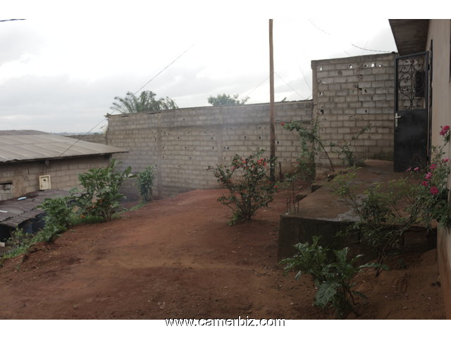 MAISON A VENDRE EN FACE NOUVEAU CAMP SIC ET STADE PAUL BIYA OLEMBE - 2477