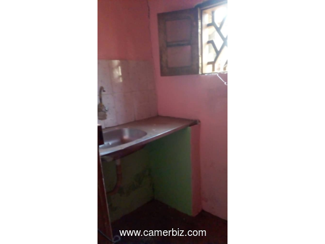 (2) APPARTEMENTS MODERNES A LOUER A BIYEMASSI TAM-TAM  - 2499